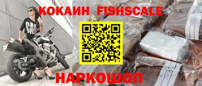 прущие крисы Гатчина