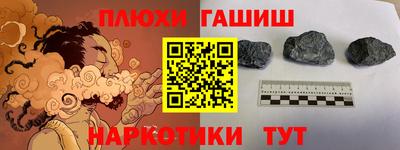 прущие крисы Гатчина