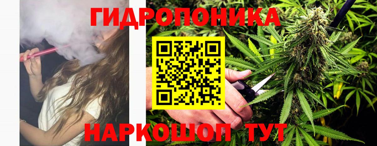Конопля марихуана Лениногорск